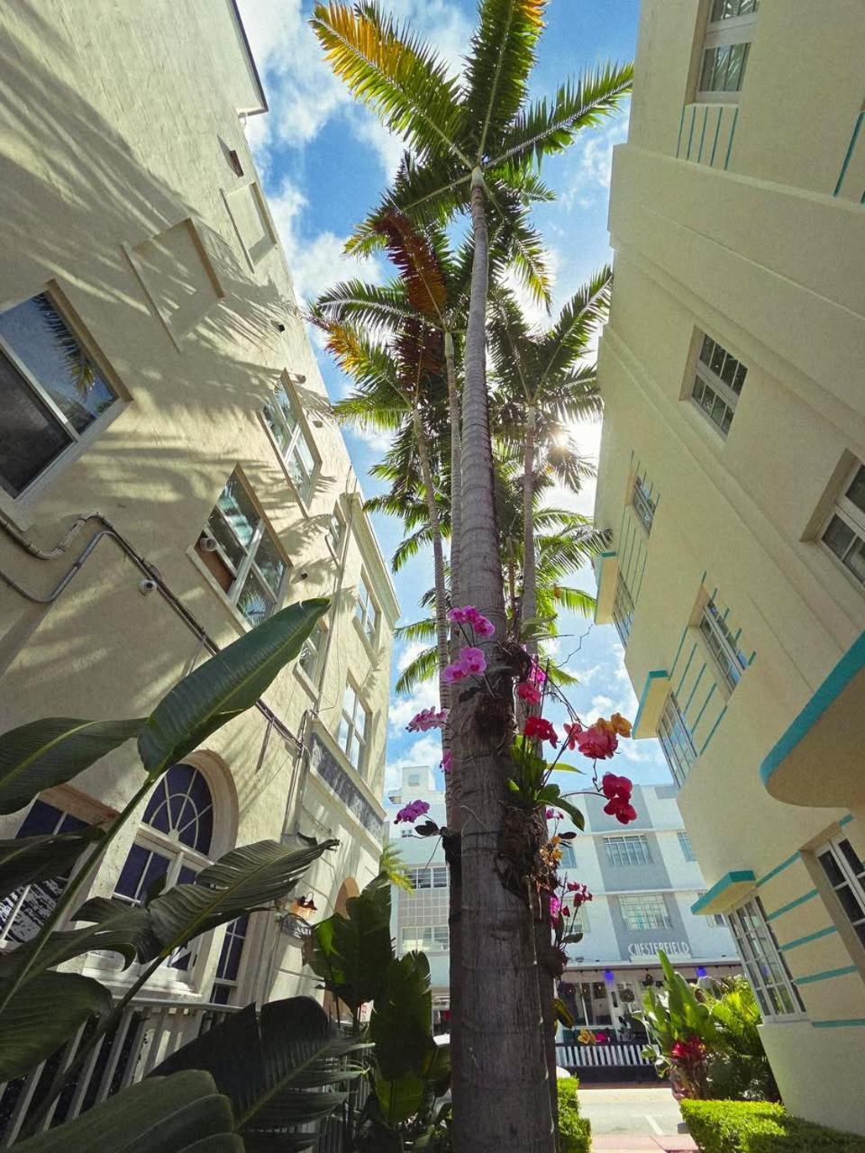 Luxuri Suites Miami Beach Exteriér fotografie